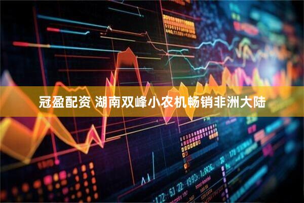 冠盈配资 湖南双峰小农机畅销非洲大陆