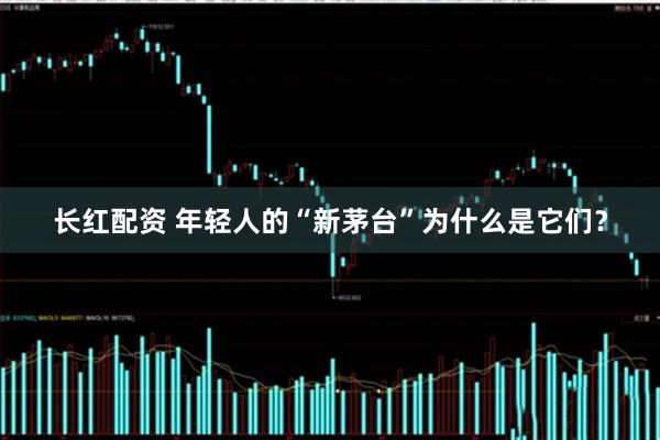 长红配资 年轻人的“新茅台”为什么是它们？
