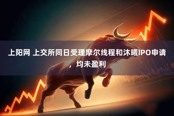上阳网 上交所同日受理摩尔线程和沐曦IPO申请，均未盈利