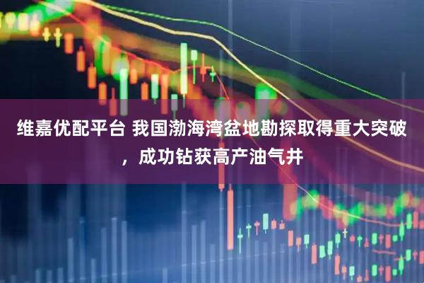 维嘉优配平台 我国渤海湾盆地勘探取得重大突破，成功钻获高产油气井